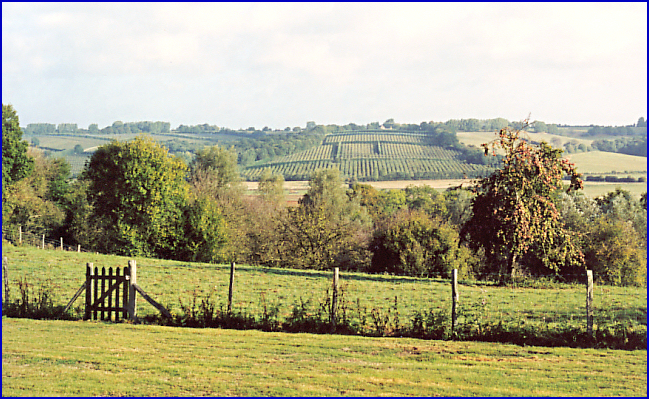 Brede Valley Scene