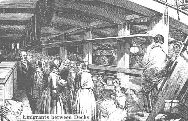 Immigrants Between Decks