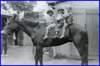 three_unknown_children_on_horse_c1917_web_small.jpg